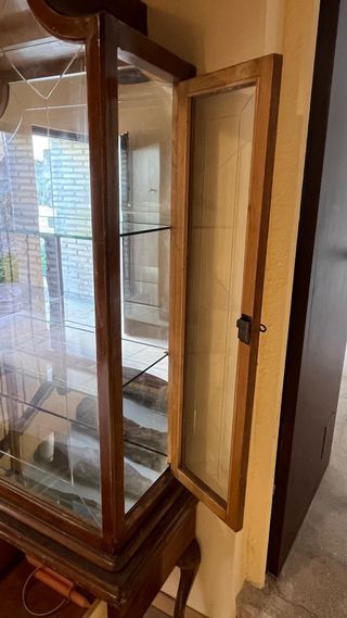 Vitrina antigua de madera y cristal