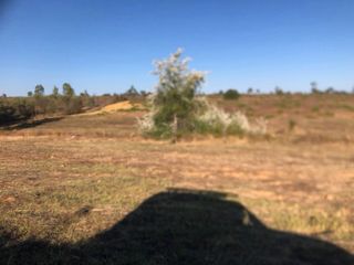 Se vende casa de campo en Bollullos