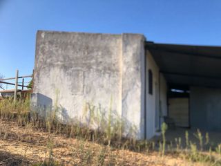 Se vende casa de campo en Bollullos