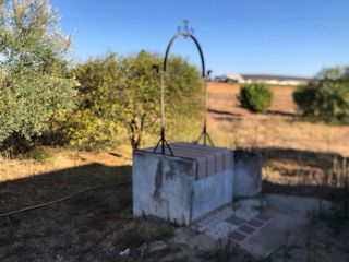 Se vende casa de campo en Bollullos