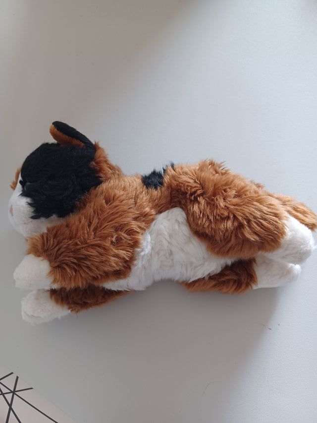 Peluche gatto con trasportino rosa