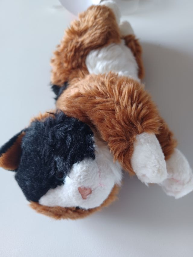 Peluche gatto con trasportino rosa