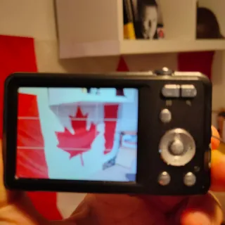 Panasonic Lumix FS28 Cámara Digital Negra