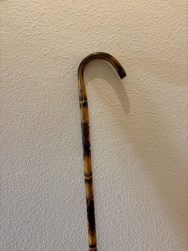 Bacchetta antica con legno curvo