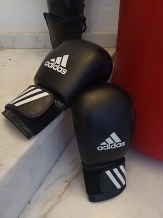 Boxeo/Kick Boxing: Saco, Guantes y más.