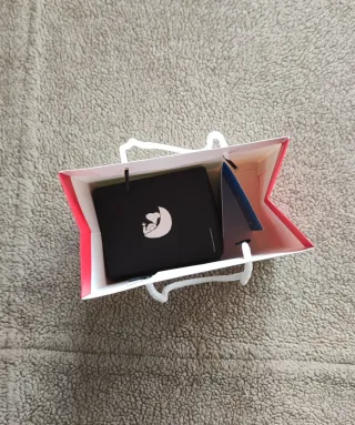 Omega x Swatch Mission to the Moonphase Snoopy