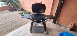 Barbacoa Weber Q Solo venta en FUERTEVENTURA