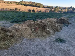 Estiércol Fems de Caballos