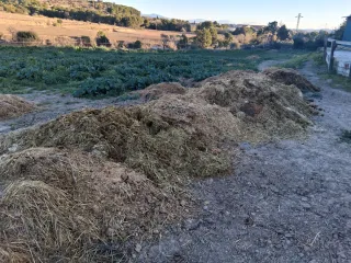 Estiércol Fems de Caballos