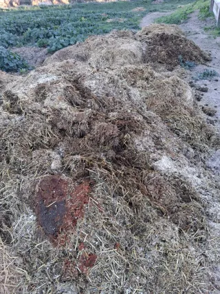 Estiércol Fems de Caballos