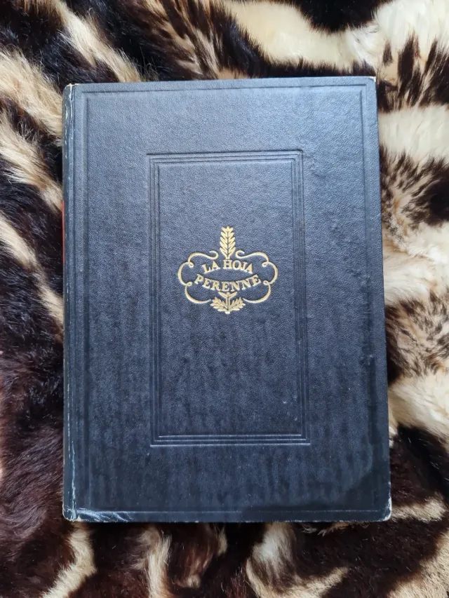 Libro vintage Tenía Que Suceder de Vicki Baum