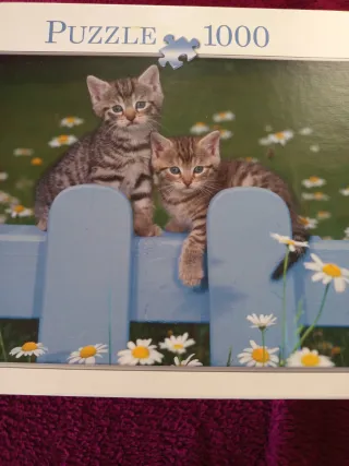 Puzzle 1000 Piezas Gatitos Valla