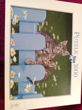 Puzzle 1000 Piezas Gatitos Valla