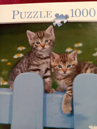 Puzzle 1000 Piezas Gatitos Valla