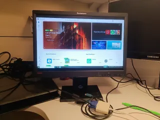 Monitor Lenovo ThinkVision L1951pwD 19