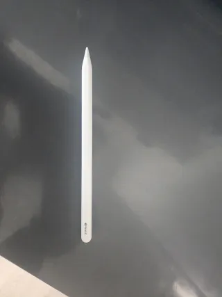 Apple Pencil Lápiz Táctil