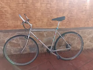 Bicicleta hombre adulto