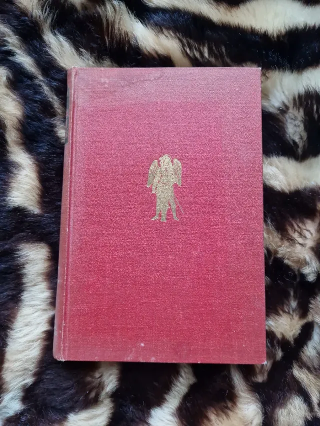 Libro vintage La historia de San Michele