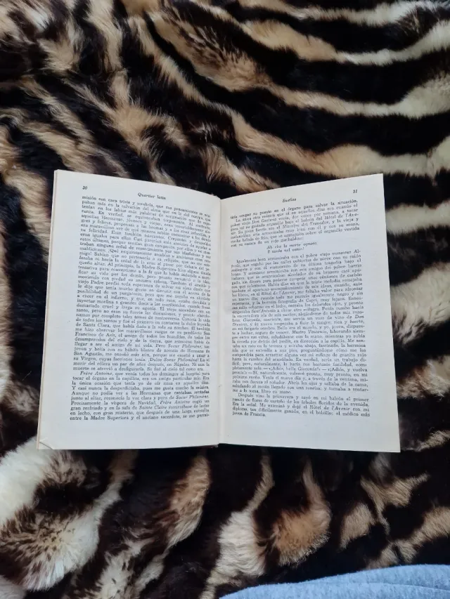 Libro vintage La historia de San Michele