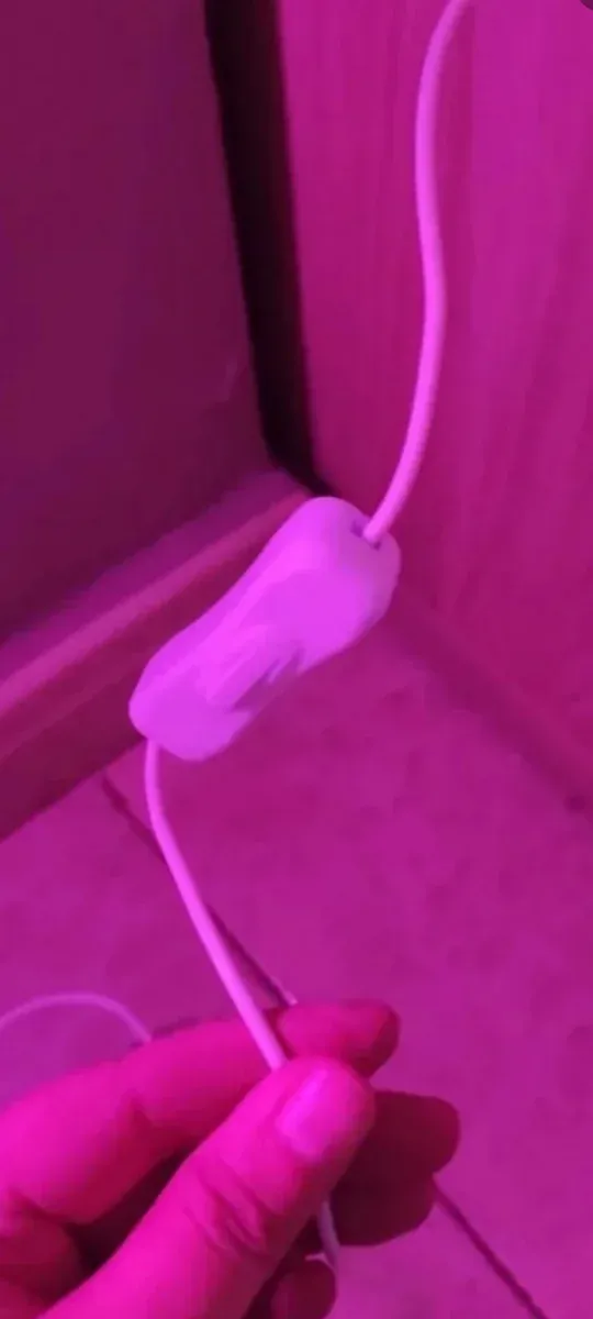 Placa Luminosa Hohoho fúcsia