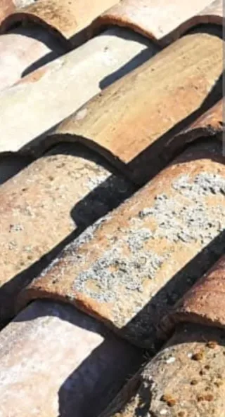 Regalo Teja árabe antigua