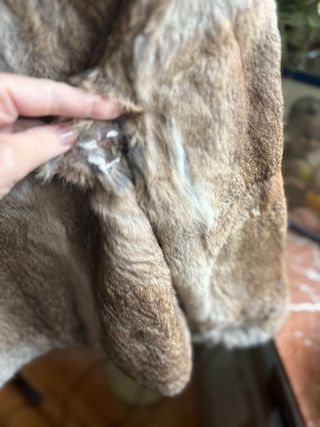 Chaqueta abrigo pelo conejo animal L