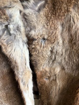 Chaqueta abrigo pelo conejo animal L