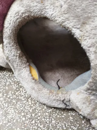 Cama Rascador para Gato