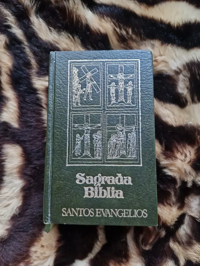 Sagrada Biblia, Santos Evangelios