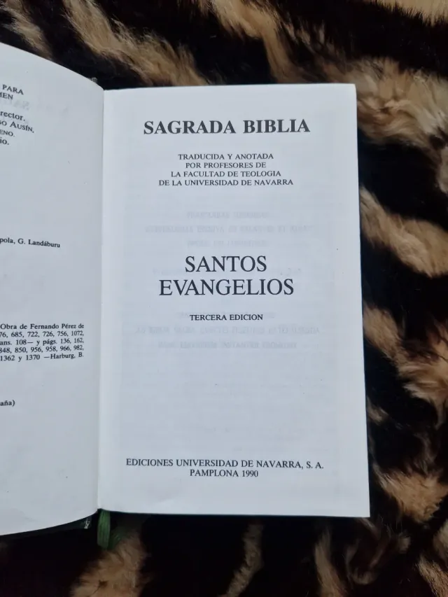 Sagrada Biblia, Santos Evangelios