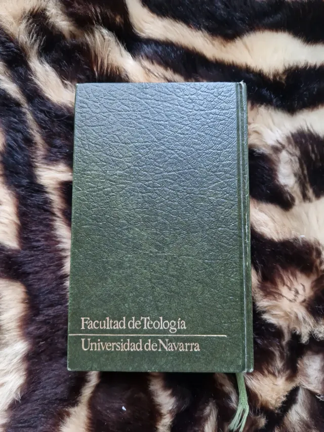 Sagrada Biblia, Santos Evangelios