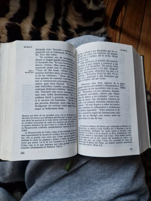 Sagrada Biblia, Santos Evangelios