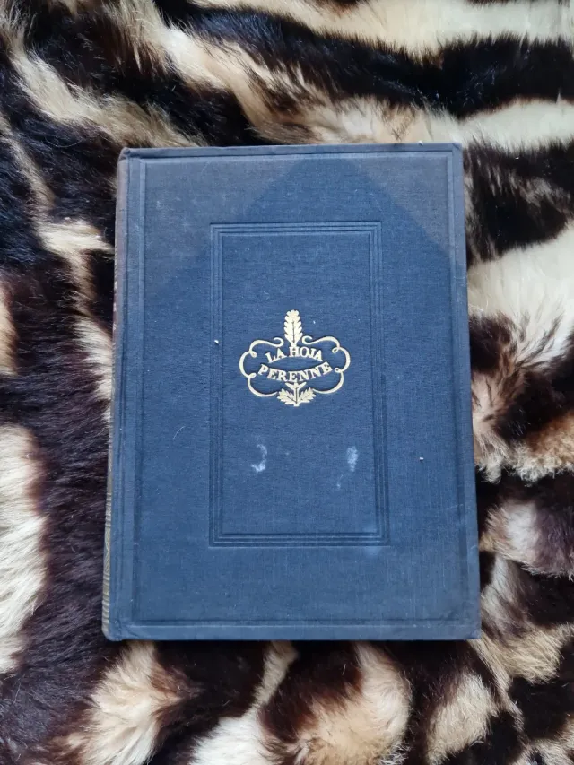 Aventura en los Dardanelos