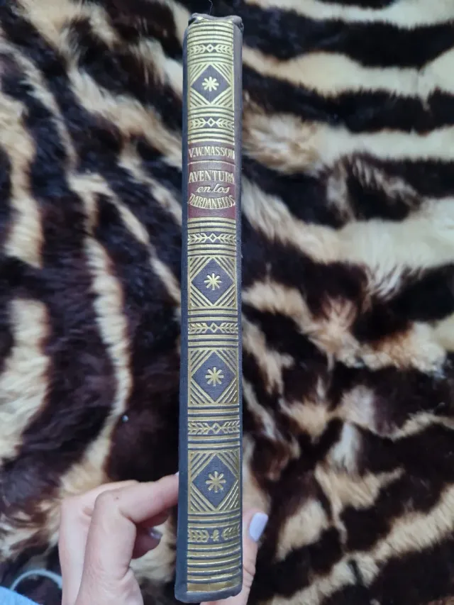 Aventura en los Dardanelos