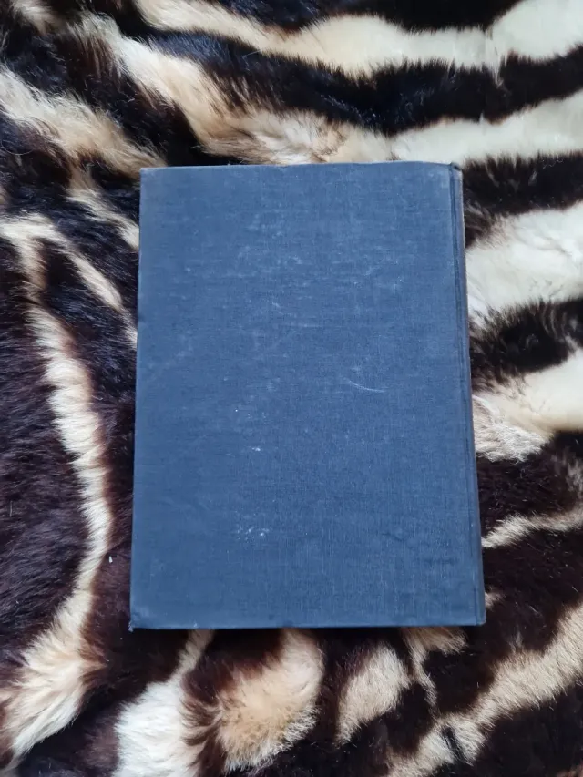 Aventura en los Dardanelos