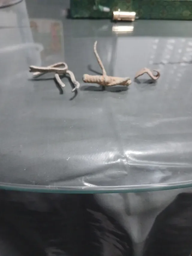 Fibulas romanas antiguas