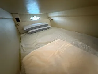 Barca Moa Platinium 32