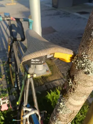 Bicicleta Clásica Carretera con Cambio
