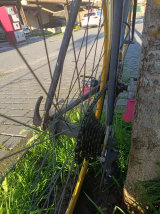 Bicicleta Clásica Carretera con Cambio