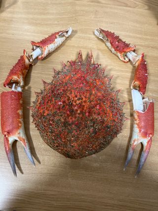 Decoración de cangrejo para el hogar