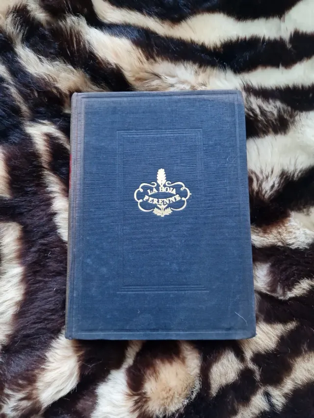 Libro vintage Donde las manzanas colorean