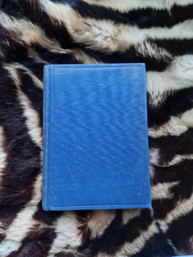 Libro vintage Un héroe moderno