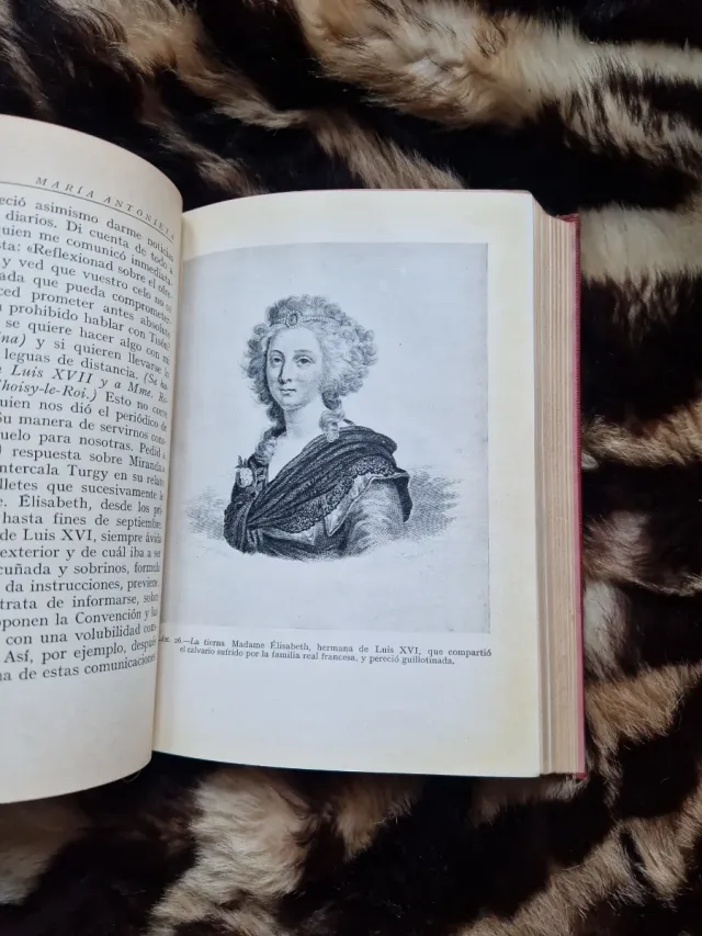 El cautiverio y la muerte de María Antonieta