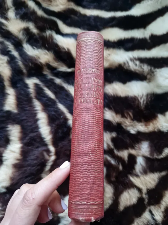 El cautiverio y la muerte de María Antonieta