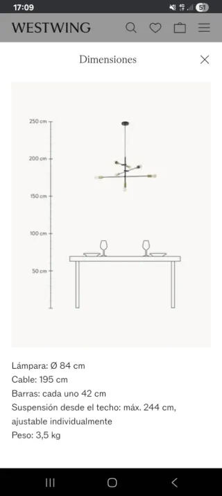 Lámpara de techo Westwing; incluye bombillas