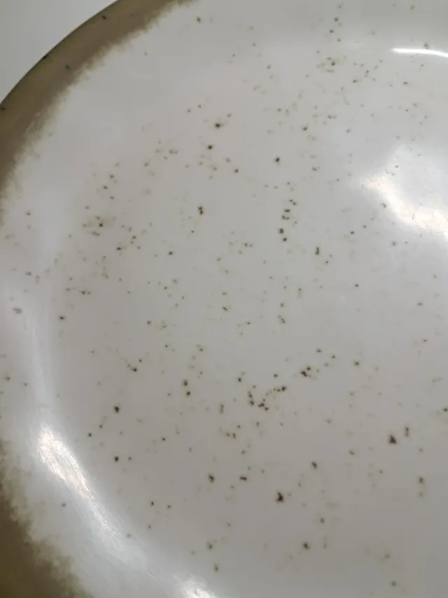 Platos Melamina APS Germany 29 platos