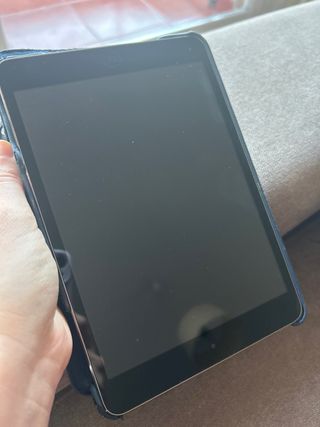 iPad mini 1ª gen. Gris