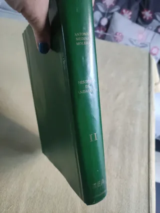 Historia de Andalucía Al-Andalus, de la desmemb...