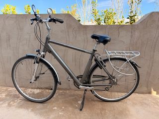 Bicicleta de paseo gris