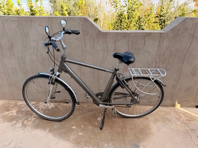 Bicicleta de paseo gris